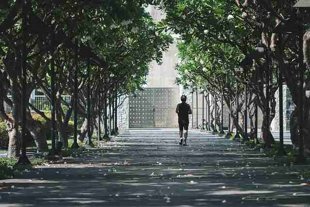 觅圈网站社群运营:会员经济快报 第1张 觅圈网站社群运营:会员经济快报 第1张